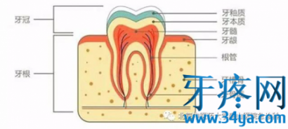 牙痛怎么办？