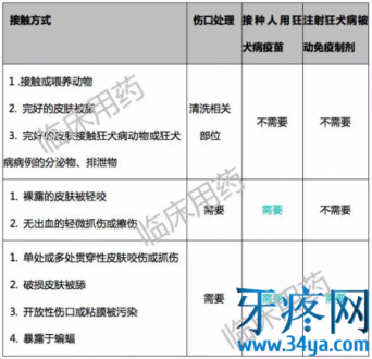 被鸡、兔子、老鼠、人咬伤，需不需要打狂犬疫苗？