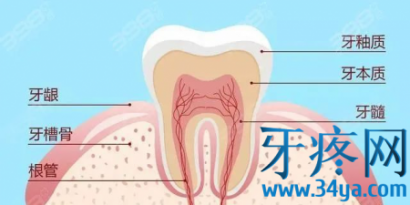 突然剧烈牙疼是什么引起的？