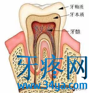 为什么牙疼总是白天牙不疼晚上牙疼？