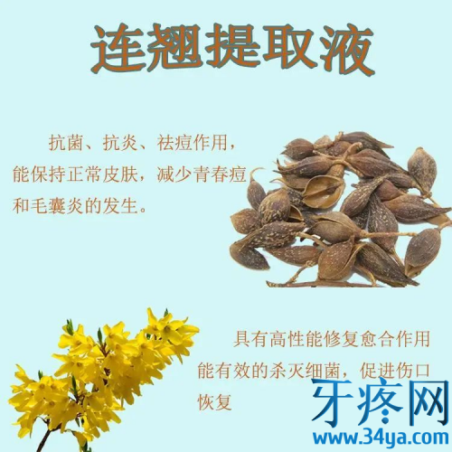 中药连翘的功效与作用:清热解毒，消肿散结，疏散风热