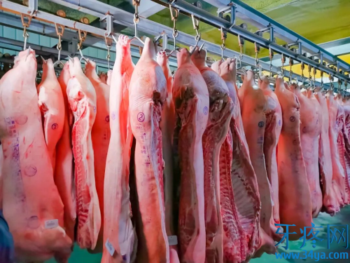 猪肉上的印章能吃吗？盖红章的猪肉和盖蓝章的猪肉有啥区别？